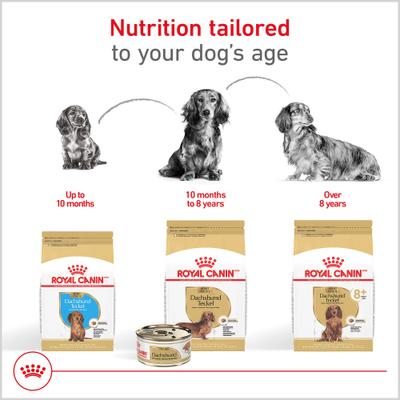 Show full view: Royal Canin Breed Health Nutrition Dachshund Adult Dry Dog Food, 10-lb bag slide 6 of 12