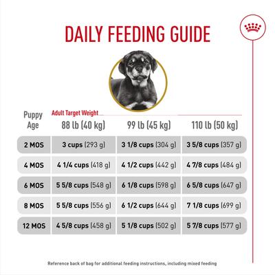 ROYAL CANIN Breed Health Nutrition Rottweiler Puppy Dry Dog Food