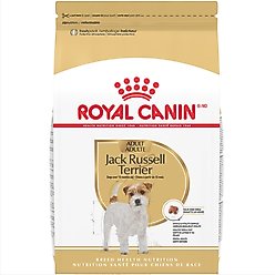 Royal Canin Breed Health Nutrition Jack Russell Terrier Adult Dry Dog Food, 10-lb bag