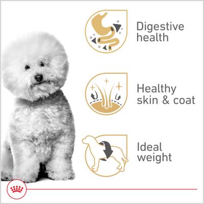 Show full view: Royal Canin Breed Health Nutrition Bichon Frise Adult Dry Dog Food, 10-lb bag slide 4 of 12