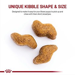 Royal Canin Breed Health Nutrition Boxer Puppy Dry Dog Food, 30-lb bag slide 2 of 8