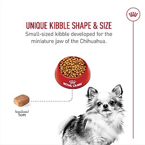 Royal Canin Breed Health Nutrition Chihuahua Adult Dry Dog Food, 10-lb bag