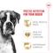 Show in main carousel: Royal Canin Breed Health Nutrition Boxer Adult Dry Dog Food, 17-lb bag slide 4 of 11
