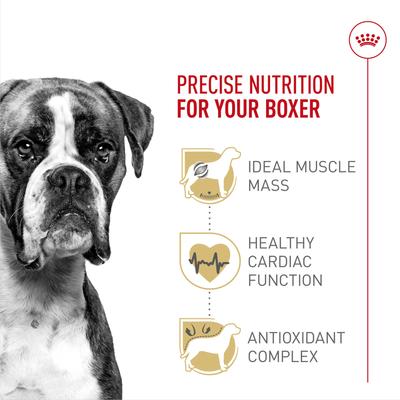 Royal Canin Breed Health Nutrition Boxer Adult Dry Dog Food