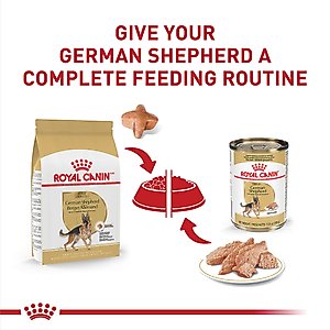 Royal Canin Breed Health Nutrition German Shepherd Adult Dry Dog Food, 30-lb bag