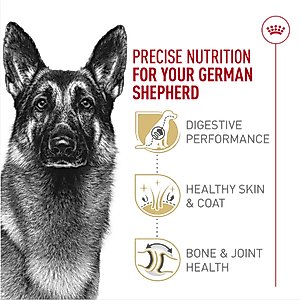 Royal Canin Breed Health Nutrition German Shepherd Adult Dry Dog Food, 30-lb bag