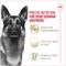Show in main carousel: Royal Canin Breed Health Nutrition German Shepherd Adult Dry Dog Food, 17-lb bag slide 5 of 13