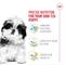 Show in main carousel: Royal Canin Breed Health Nutrition Shih Tzu Puppy Dry Dog Food, 2.5-lb bag slide 4 of 11