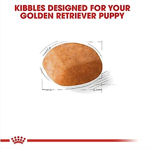 Royal Canin Breed Health Nutrition Golden Retriever Puppy Dry Dog Food, 30-lb bag