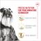 Show in main carousel: Royal Canin Breed Health Nutrition Miniature Schnauzer Adult Dry Dog Food, 10-lb bag slide 4 of 13