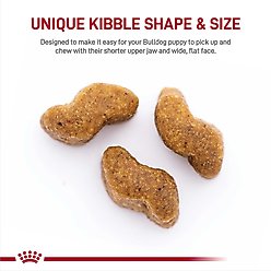 Royal Canin Breed Health Nutrition Bulldog Puppy Dry Dog Food, 30-lb bag slide 2 of 8