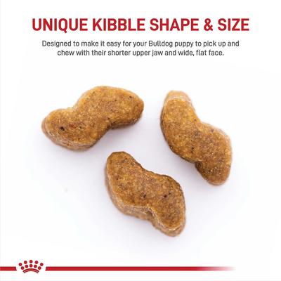 Show full view: Royal Canin Breed Health Nutrition Bulldog Puppy Dry Dog Food, 6-lb bag slide 3 of 12