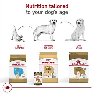Royal Canin Breed Health Nutrition Labrador Retriever Adult Dry Dog Food, 30-lb bag
