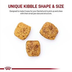 Royal Canin Breed Health Nutrition Dachshund Adult Dry Dog Food, 10-lb bag slide 2 of 8