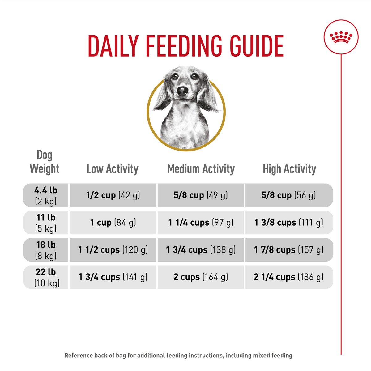 ROYAL CANIN Breed Health Nutrition Dachshund Adult Dry Dog