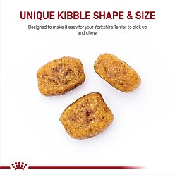 Royal Canin Breed Health Nutrition Yorkshire Terrier Adult Dry Dog Food, 10-lb bag slide 2 of 8