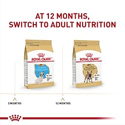 Royal Canin Breed Health Nutrition French Bulldog Puppy Dry Dog Food, 10.5-lb bag slide 2 of 9