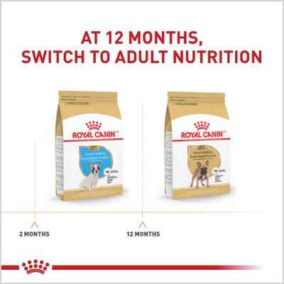 Show full view: Royal Canin Breed Health Nutrition French Bulldog Puppy Dry Dog Food, 3-lb bag slide 7 of 14