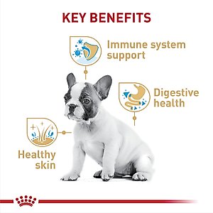 Royal Canin Breed Health Nutrition French Bulldog Puppy Dry Dog Food, 3-lb bag