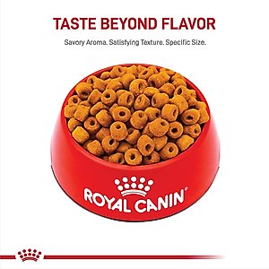Royal Canin Breed Health Nutrition Labrador Retriever Adult Dry Dog Food, 30-lb bag