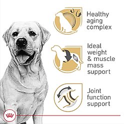 Royal Canin Breed Health Nutrition Labrador Retriever Adult 5+ Dry Dog Food, 28-lb bag slide 2 of 8