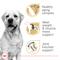 Show in main carousel: Royal Canin Breed Health Nutrition Labrador Retriever Adult 5+ Dry Dog Food, 28-lb bag slide 3 of 11