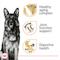 Show in main carousel: Royal Canin Breed Health Nutrition German Shepherd Adult 5+ Dry Dog Food, 28-lb bag slide 3 of 11