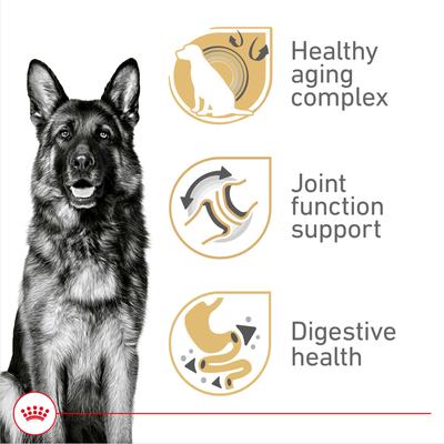 Show full view: Royal Canin Breed Health Nutrition German Shepherd Adult 5+ Dry Dog Food, 28-lb bag slide 3 of 11
