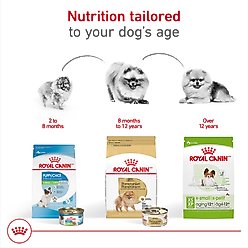 Royal Canin Breed Health Nutrition Pomeranian Adult Loaf in Sauce Canned Dog Food, 3-oz can, case of 6 slide 2 of 9