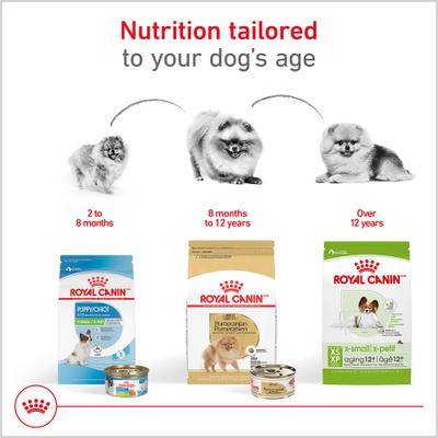 Show full view: Royal Canin Breed Health Nutrition Pomeranian Adult Loaf in Sauce Canned Dog Food, 3-oz, case of 4 slide 6 of 12