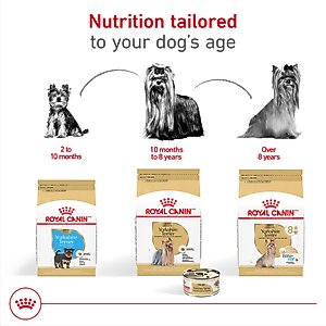 Royal Canin Breed Health Nutrition Yorkshire Terrier Adult Loaf In Sauce Wet Dog Food, 3-oz, case of 24