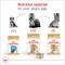 Show in main carousel: Royal Canin Breed Health Nutrition Yorkshire Terrier Adult Loaf In Sauce Wet Dog Food, 3-oz can, case of 6 slide 6 of 13