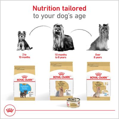 Show full view: Royal Canin Breed Health Nutrition Yorkshire Terrier Adult Loaf In Sauce Wet Dog Food, 3-oz can, case of 6 slide 6 of 13