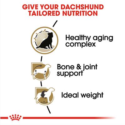 Show full view: Royal Canin Breed Health Nutrition Dachshund Adult 8+ Dry Dog Food, 3-lb bag slide 4 of 11