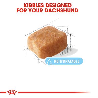 Show full view: Royal Canin Breed Health Nutrition Dachshund Adult 8+ Dry Dog Food, 3-lb bag slide 3 of 11