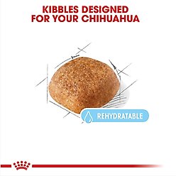 Royal Canin Breed Health Nutrition Chihuahua Adult 8+ Dry Dog Food, 2.5-lb bag slide 2 of 8