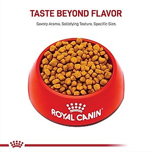 Royal Canin Breed Health Nutrition Chihuahua Adult Dry Dog Food, 10-lb bag