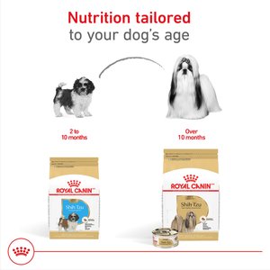Royal Canin Breed Health Nutrition Shih Tzu Adult Loaf In Sauce Canned Dog Food, 3-oz, case of 24