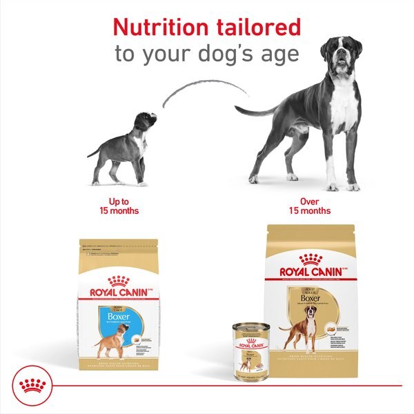Royal Canin Breed Health Nutrition Boxer Loaf Pate Adult Wet Dog Food