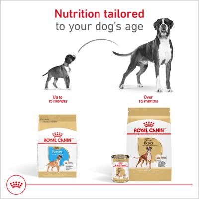 Show full view: Royal Canin Breed Health Nutrition Boxer Loaf Pate Adult Wet Dog Food, 13.5-oz, pack of 12 slide 5 of 11