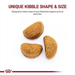 Royal Canin Breed Health Nutrition Rottweiler Puppy Dry Dog Food, 30-lb bag slide 2 of 8