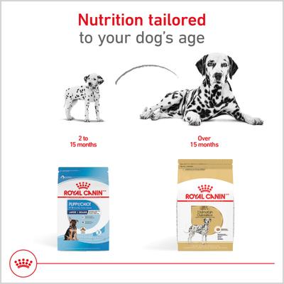 Show full view: Royal Canin Breed Health Nutrition Dalmatian Adult Dry Dog Food, 30-lb bag slide 5 of 11