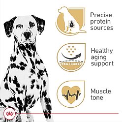 Royal Canin Breed Health Nutrition Dalmatian Adult Dry Dog Food, 30-lb bag slide 2 of 8
