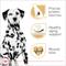 Show in main carousel: Royal Canin Breed Health Nutrition Dalmatian Adult Dry Dog Food, 30-lb bag slide 3 of 11
