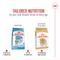 Show in main carousel: Royal Canin Breed Health Nutrition Jack Russell Terrier Adult Dry Dog Food, 10-lb bag slide 7 of 12
