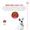 Show in main carousel: Royal Canin Breed Health Nutrition Jack Russell Terrier Adult Dry Dog Food, 10-lb bag slide 5 of 12