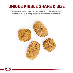Royal Canin Breed Health Nutrition Maltese Adult Dry Dog Food, 10-lb bag slide 2 of 8