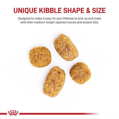 Show full view: Royal Canin Breed Health Nutrition Maltese Adult Dry Dog Food, 10-lb bag slide 3 of 11