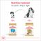 Show in main carousel: Royal Canin Breed Health Nutrition Cavalier King Charles Adult Dry Dog Food, 10-lb bag slide 7 of 12