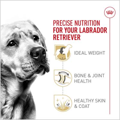 Show full view: Royal Canin Breed Health Nutrition Labrador Retriever Adult Dry Dog Food, 30-lb bag slide 5 of 12